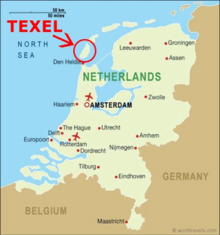 texel map